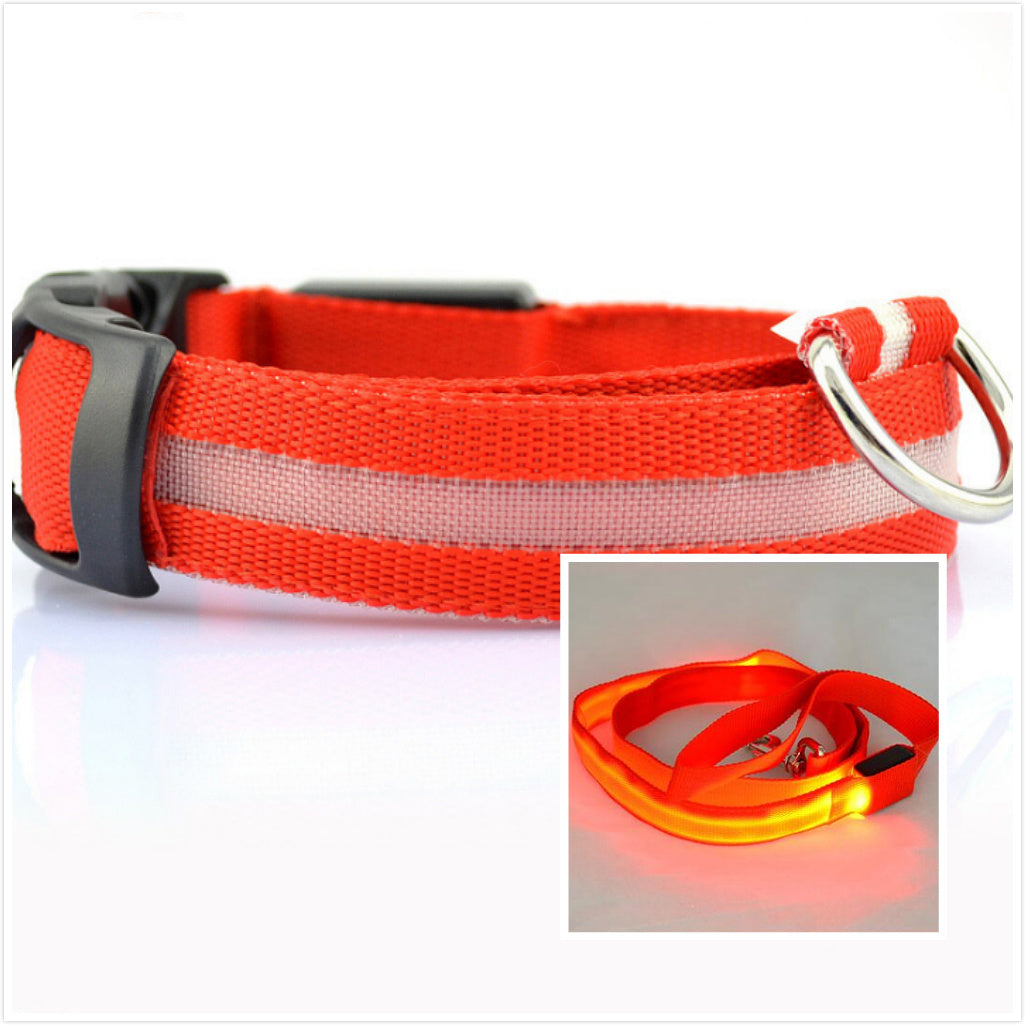 LED Dog Safety Collar