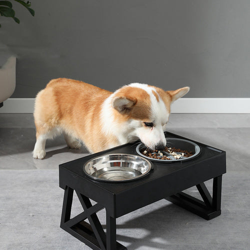 Elevated Anti-Choke Pet Bowl